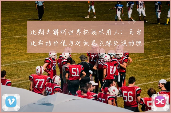 比朔夫解析世界杯战术用人：乌尔比希的价值与对凯恩点球失误的理性态度