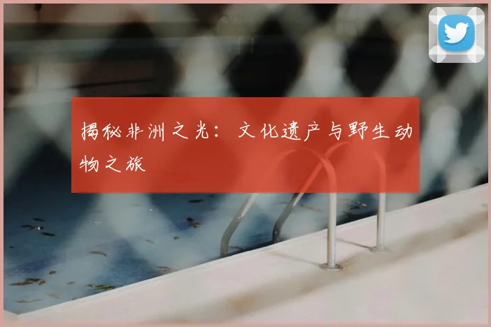 揭秘非洲之光:文化遗产与野生动物之旅